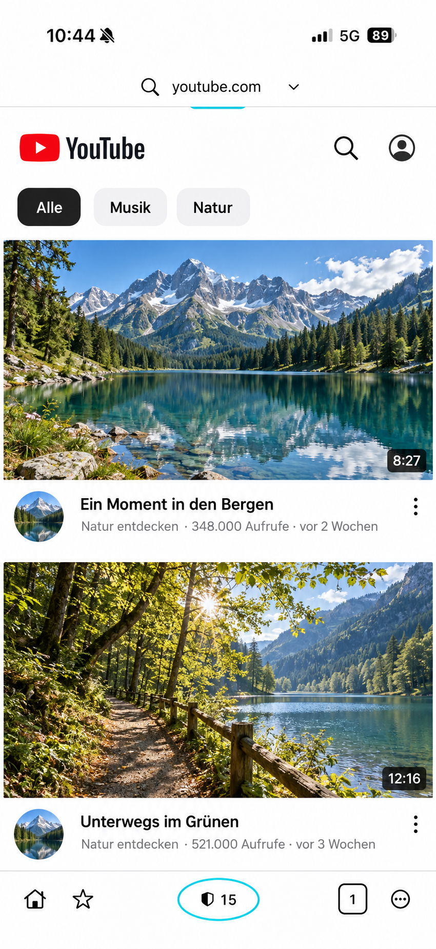 CloseM mit geöffneter YouTube-Seite und hervorgehobenem Schild-Zähler 15